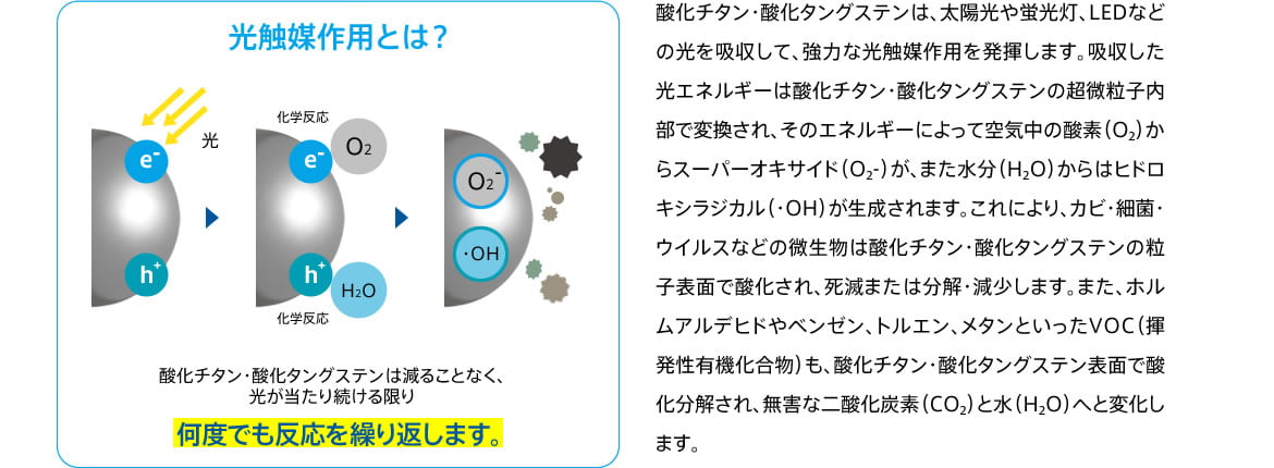 光触媒作用とは？ 酸化チタン・酸化タングステンは、太陽光や蛍光灯、LEDなどの光を吸収して、強力な光触媒作用を発揮します。吸収した光エネルギーは酸化チタン・酸化タングステンの超微粒子内部で変換され、そのエネルギーによって空気中の酸素（O₂）からスーパーオキサイド（O₂-）が、また水分（H₂O）からはヒドロキシラジカル（・OH）が生成されます。これにより、カビ・細菌・ウイルスなどの微生物は酸化チタン・酸化タングステンの粒子表面で酸化され、死滅または分解・減少します。また、ホルムアルデヒドやベンゼン、トルエン、メタンといったVOC（揮発性有機化合物）も、酸化チタン・酸化タングステン表面で酸化分解され、無害な二酸化炭素（CO₂）と水（H₂O）へと変化します。	　